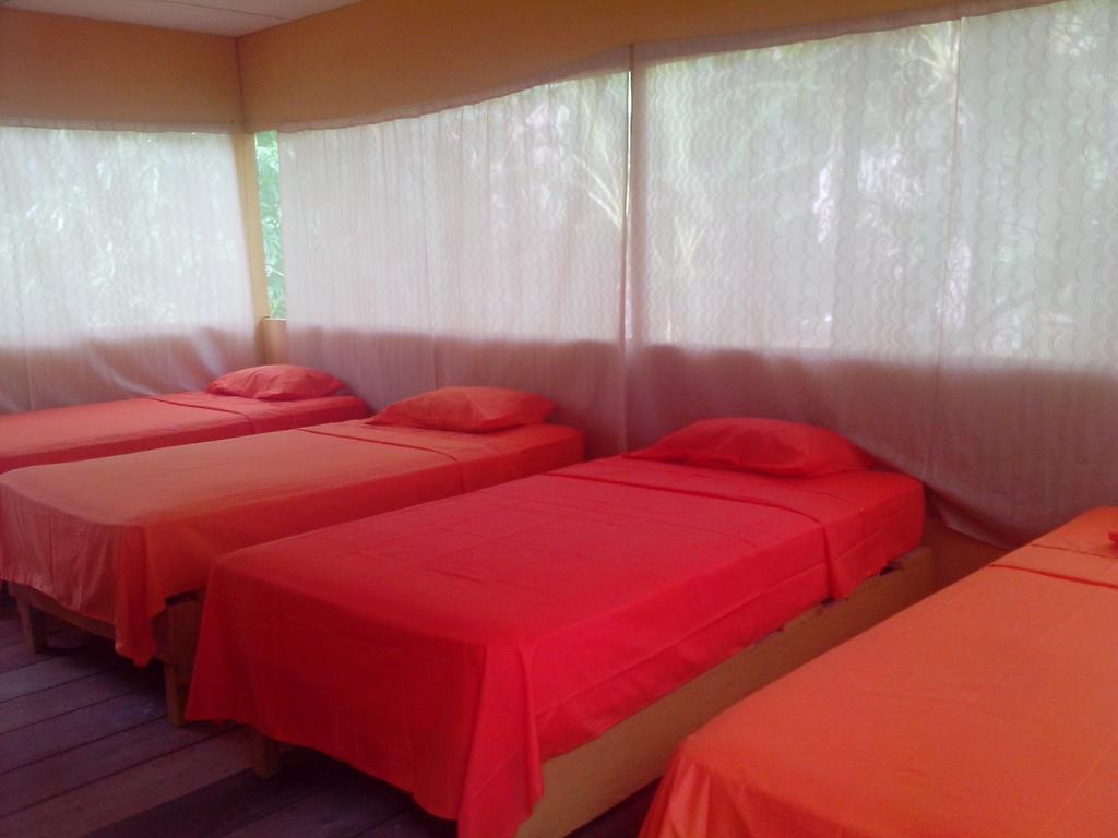 Amazon Queen Lodge 마잔 객실 사진