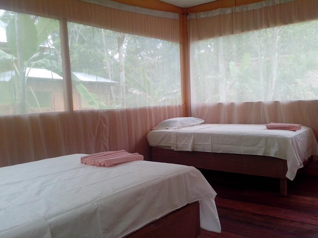 Amazon Queen Lodge 마잔 객실 사진