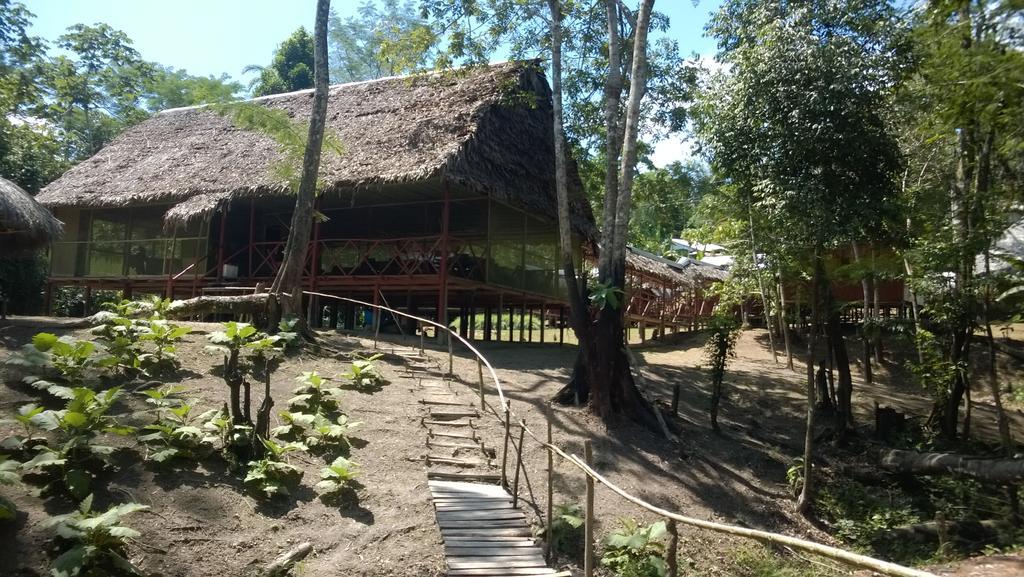 Amazon Queen Lodge 마잔 객실 사진