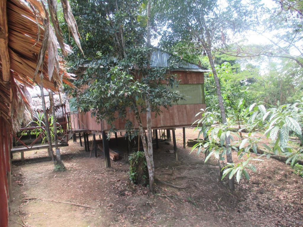 Amazon Queen Lodge 마잔 외부 사진